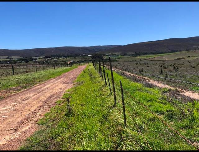 FARM FOR SALE IN BAARDSKEERDERSBOS